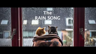 "The Rain Song" Led Zeppelin w lyrics 4 hearing & visually impaired Non Monetized Non Profit Listen