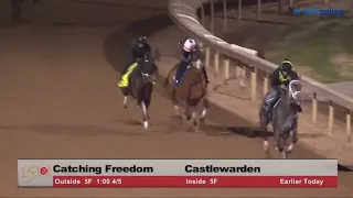 Catching Freedom 5 Furlongs workout at Churchill Downs - April 20