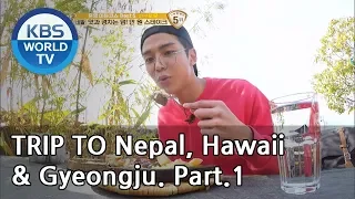 A trip alone to Nepal, Hawaii & Gyeongju Part.1 [Battle Trip/2019.03.10]