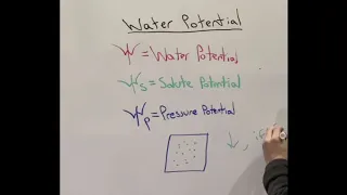 Osmosis and water potential!!