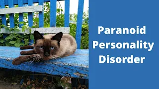 Paranoid Personality Disorder: DSM-5 Diagnostic Criteria
