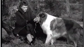 Lassie - Episode #162 - "The Big Cat" - Season 5, Ep. 19 - 01/11/1959