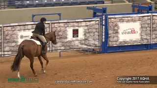 A Judge's Perspective: 2017 AQHA Select Hunter Hack World Champion