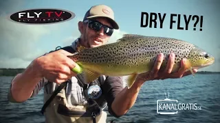 FLY TV - Dry Fly Sea Trout Fishing in Denmark