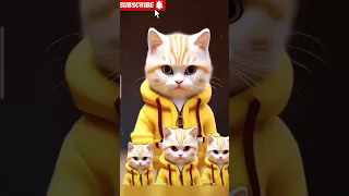 cute cat dance on patli kamriya#rajkusmy_patli_kamariya #cute #cat #ytshorts #shortsfeed