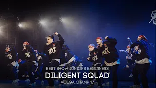 Volga Champ 17 | Best Show Juniors beginners | Diligent Squad