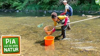 Barfuß im Bach | Reportage für Kinder | Pia und die wilde Natur