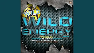 Wild Energy 2019 (Alex K Megamix)