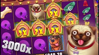 Dog House Megaways BIG New Year 3000x+ Win!