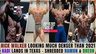 Nick in better condition & Denser than 2021 + Hadi right on target + Breon & Ramon looking shredded