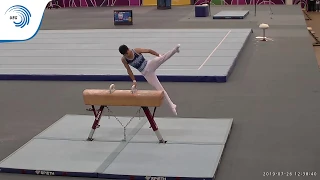 Samad MAMMADLI (AZE) - 2019 EYOF silver medallist, pommel horse