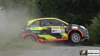 Best of Rallye 2020 | Highlights & Mistakes
