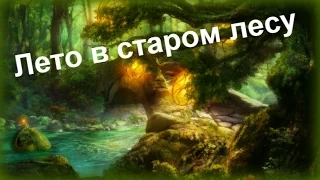 Birds Singing & Cuckoo / Пение Птиц, Голос Кукушки и Других Обитателей Леса