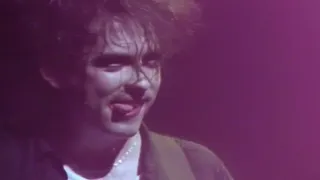 The Cure - Purple Haze, Official Psychedelic Video - Jimi Hendrix Tribute - Purple Mushroom Cap Trip