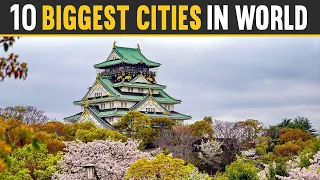 Top 10 Biggest Cities in the World 2023 By Population & Area