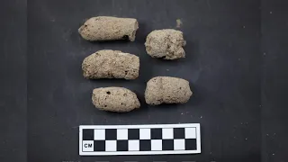 New method can determine if ancient poo is from humans or dogs