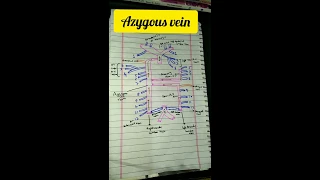 Azygous venous system or Vena Azygous (Azygous , hemiazygous and accessory hemiazygous vein)