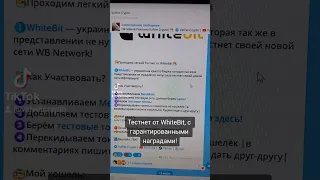 Тестнет от WhiteBit с 100% наградами! #whitebit #тестнет #testnet #вайтбит