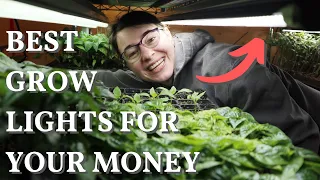 Indoor Grow Lights | $ vs $$$ Comparison