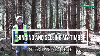 Thinning and selling my timber - a forest owner's experience