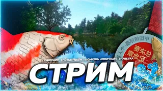 ⭐СТРИМ РР4 | Отдых от Медного и КОИ  или нет?) | 🎁 Призы В Рулетке!