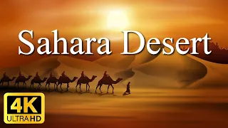 Sahara Desert Amazing Places 4K, Algeria Nature Video