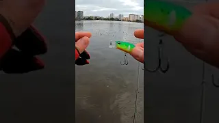 Воблер для ловли в траве и на меляках от Esfishing