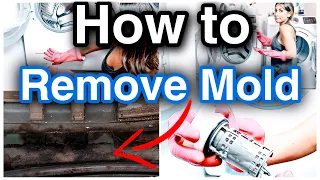 HOW TO REMOVE MOLD FROM YOUR WASHING MACHINE | FRONT LOAD GASKET MOLD REMOVAL | @myrandaachvan