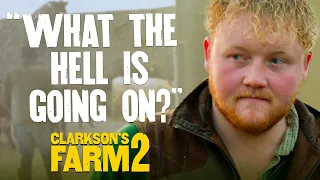 Jeremy & Kaleb Herd The Chaotic Cows To Their New Home | Clarkson’s Farm S2