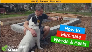 6 of 33 – Backyard Abundance – How to Eliminate Weeds & Pests
