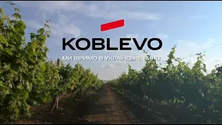 Як створюють українське вино KOBLEVO?