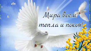 Доброе утро!❤️ Мира всем, тепла и покоя❤️Good morning❤️