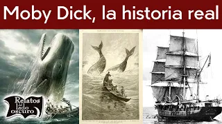 Moby Dick, la historia real  Relatos del lado oscuro