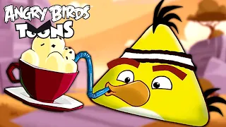 Angry Birds | Top Viewed Toons Season 1