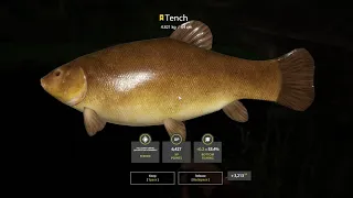 Russian Fishing 4 - Trophy Tench old burg