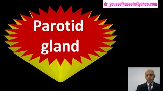 Parotid gland | Capsule| Mumps | Structures inside| Steensen's duct | Frey's syndrome | Bells, palsy