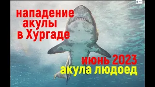 Хургада нападение тигровой акулы июнь 2023 - Hurghada tiger shark attack June 2023