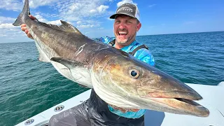 This Fish looks Like a SHARK! {Catch Clean Cook} except it tastes WAY BETTER!!!