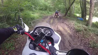 Yamaha XTZ 750 Super Tenere and Honda Friends in South-West France