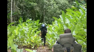 Jungle Survival Course in Guyana Webinar
