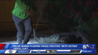 Police: Don't flush drugs; you might make a 'meth-gator'