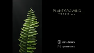 Plant Growing animation | Houdini Full Tutorial