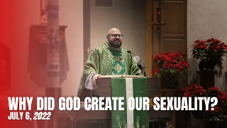 Why Did God Create Our Sexuality? - Fr. Patrick Schultz