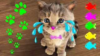 BEST LITTLE KITTEN ADVENTURE - FUN EDUCATIONAL CARTOON VIDEO FOR FAMILY - CUTE CAT STORY