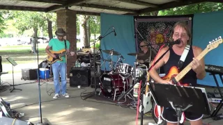 The Knickerbockers - Lies - Neighborhood Picnic Band 2016