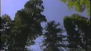 "Only God Can Make A Tree" from Huell Howser "Trees 2001"