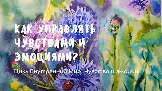 Как управлять чувствами и эмоциями?