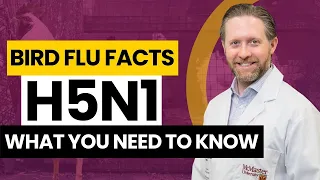 H5N1 Explained: What you need to know about avian flu