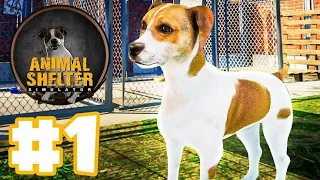 new game animal shelter  simulator 😀👍🏻