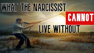 This Is The Most Important Thing To The Narcissist